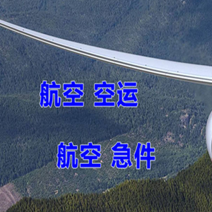 新源那拉提空运代理快递-选东方航空和上海航空